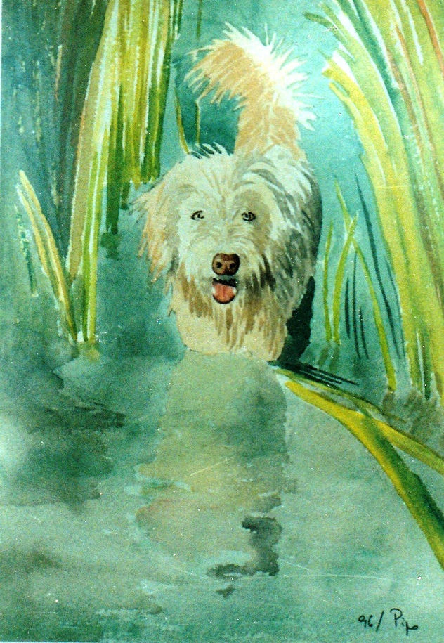 en el rio