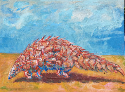 Pangolín