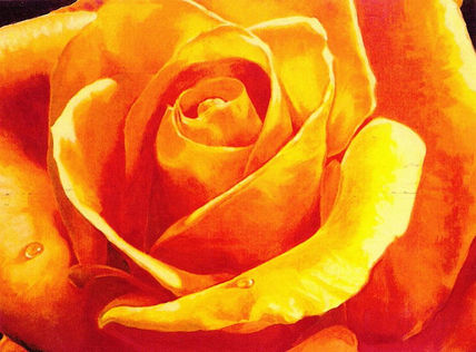 Rosa