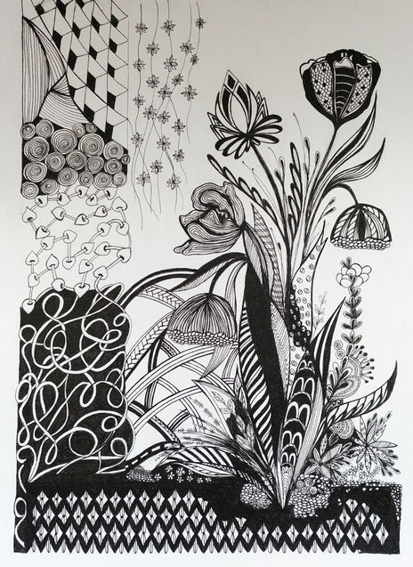 Naturaleza 6