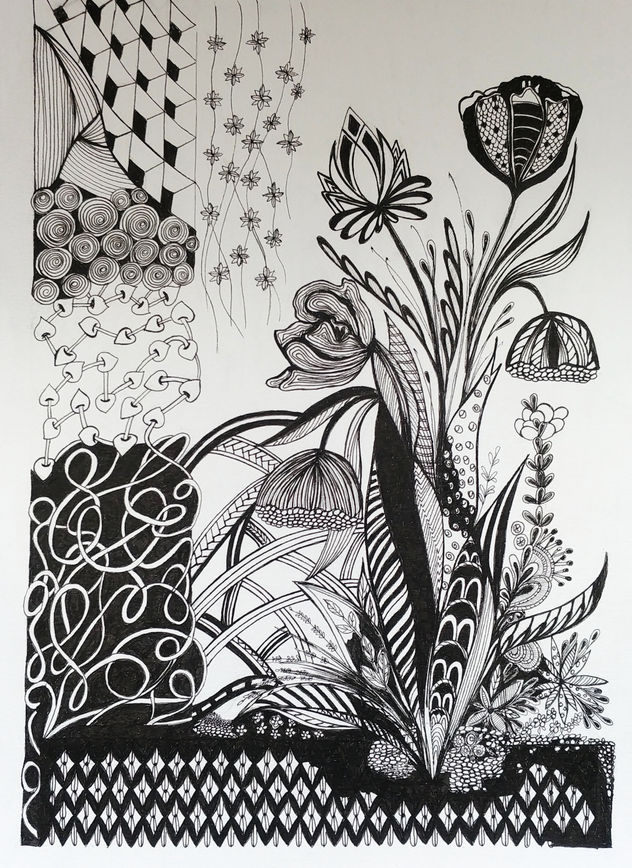 Naturaleza 6