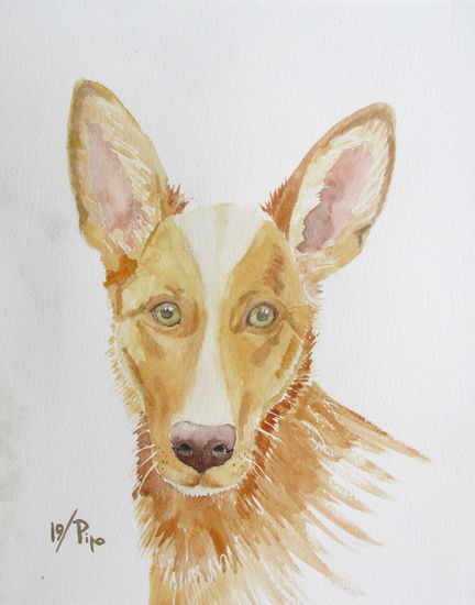 perro podenco Watercolour Paper Animals