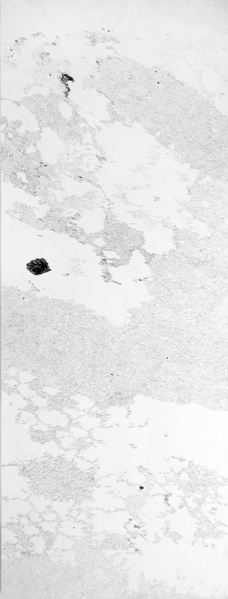 Fragmento 1 (la...