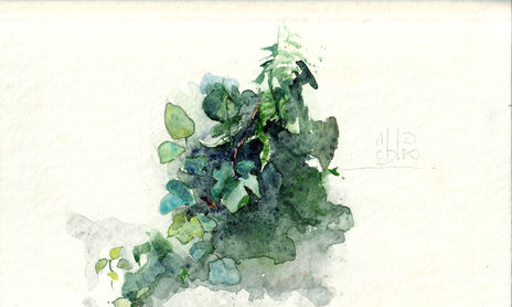 Floral