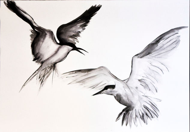 Juan salvador gaviota 1 Watercolour Paper Animals