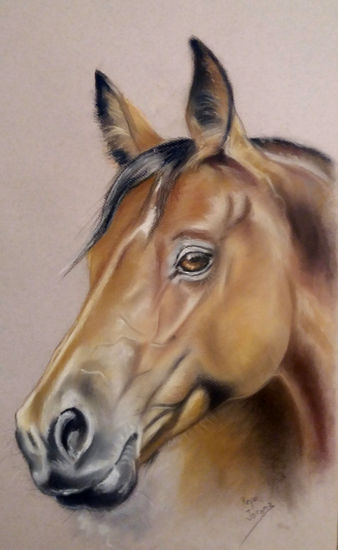 Cabeza de caballo Pastel Paper Animals