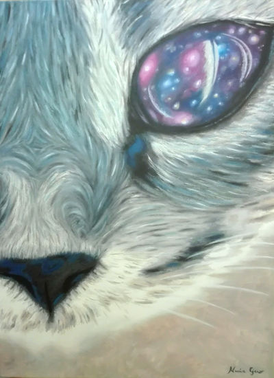 El universo en sus ojos Oil Canvas Animals