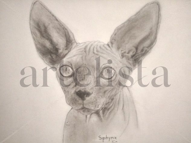 Sphynx