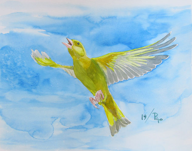 canario salvaje en vuelo