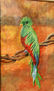El quetzal  (Nelyda G.)
