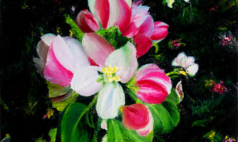 Mis Flores