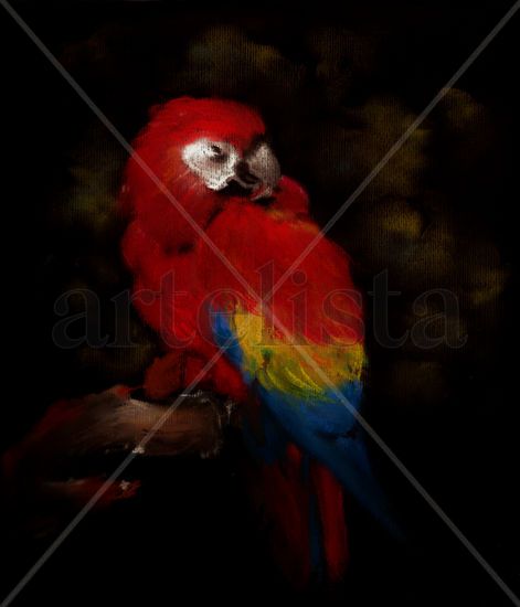 Guacamaya Pastel Papel Animales