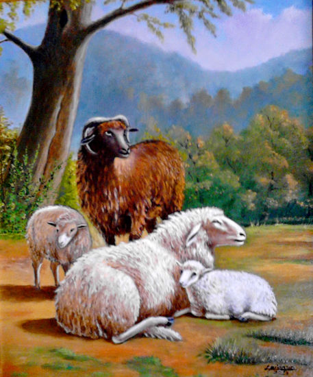 obejas1 45x37 Oil Canvas Animals