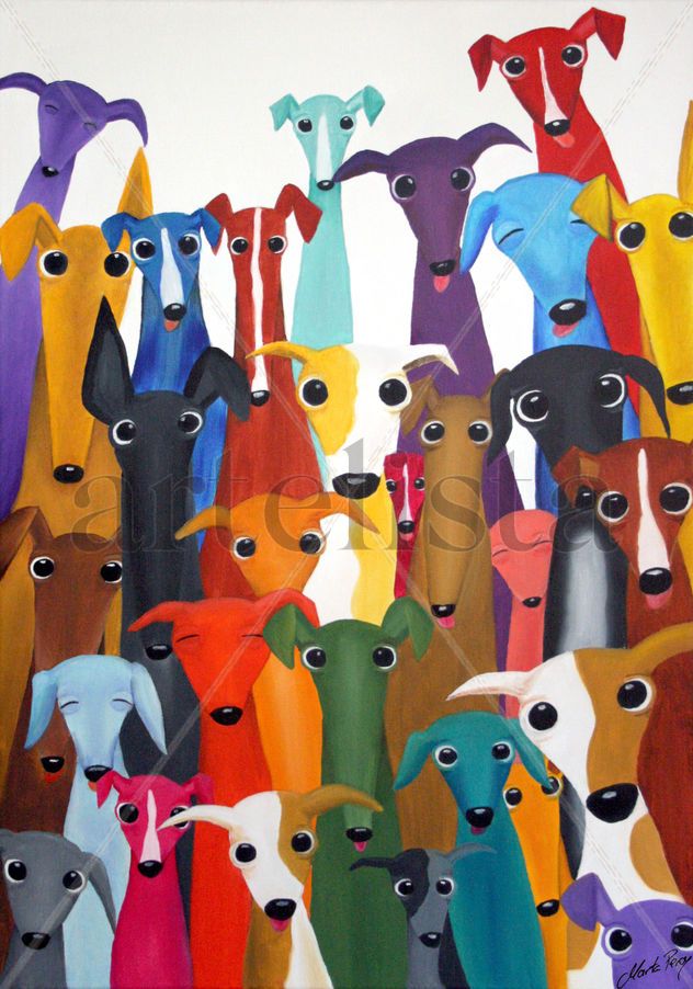 Galgos