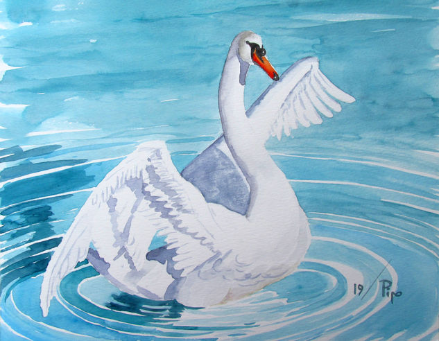 cisne Acuarela Papel Animales