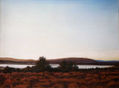 Paisaje 1
