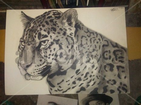 Mirada felina
