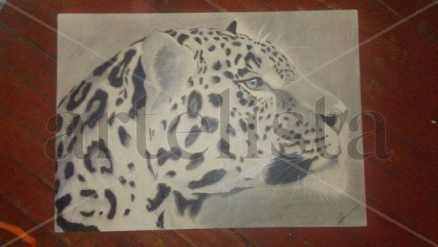 Perfil de felino sur americano