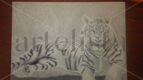 Reposo del tigre
