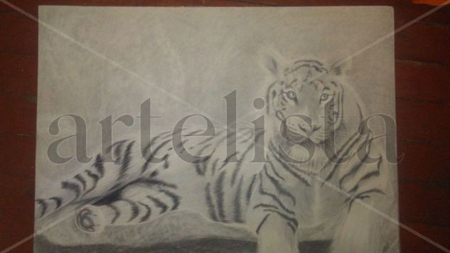 Reposo del tigre Charcoal