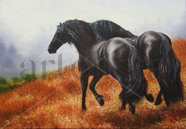 Caballos salvajes Oil Canvas Animals