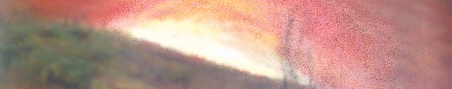 Imagen de portada
