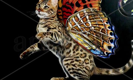 Animales