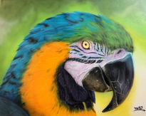 Parrot 13