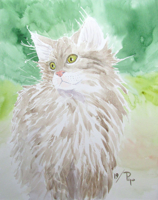 gatito peludo 2