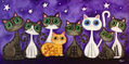 gatos callejeros