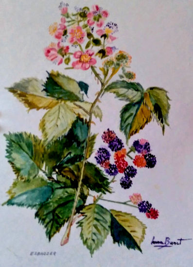 ESBARZER Watercolour Card Floral Painting