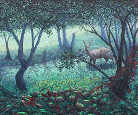 Amanecer en el bosque
