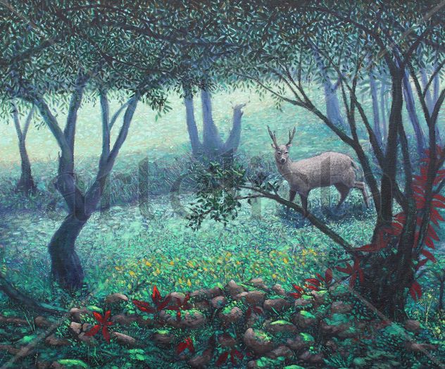 amanecer en el bosque