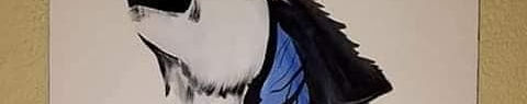 Imagen de portada
