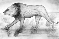 León del Kalahari