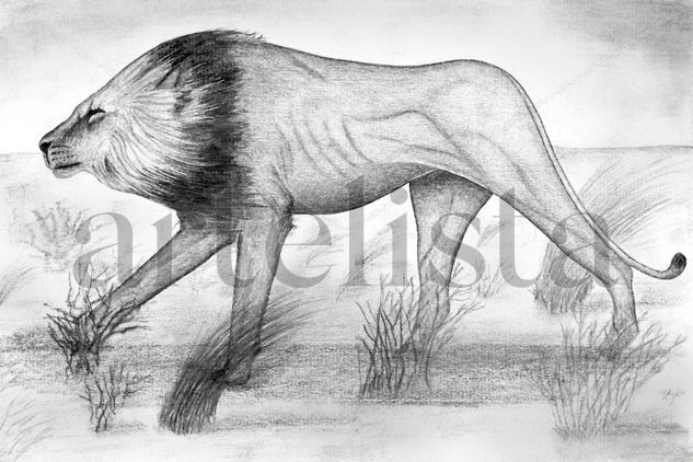 León del Kalahari Pencil