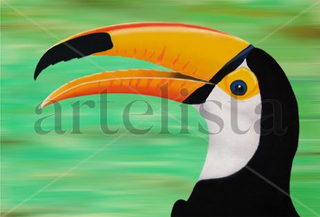 Tucan
