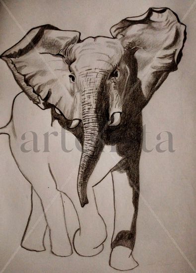 Elefante corriendo Pencil