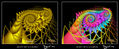 ORO-9 MAS CLON COLOR
