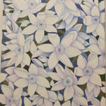 Flores thumbnail 2