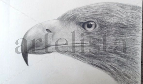 Aguila Pencil