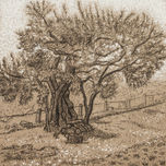 Paisajes thumbnail 2