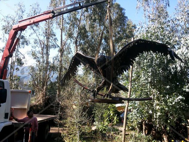 Americo Ananio condor Andino