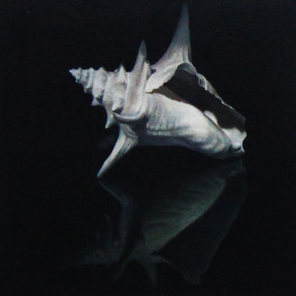 Recall of the Ocean