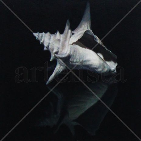 Recall of the Ocean