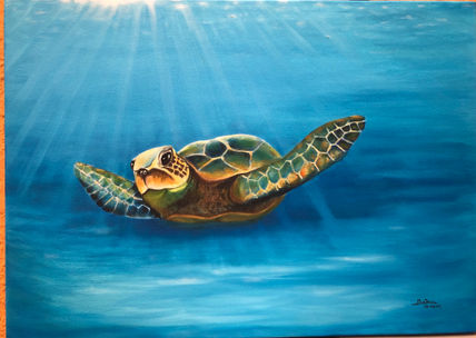 Tortuga