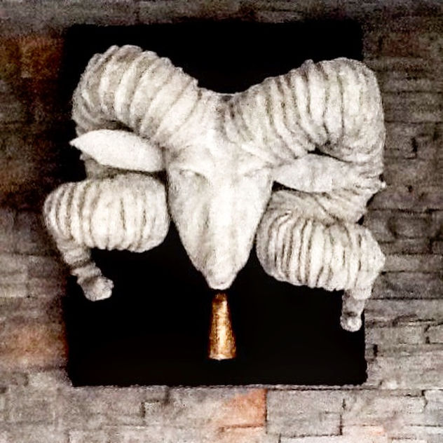 OVIS ARIES