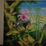el color en la naturaleza thumbnail 1
