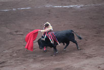 Torero Ginés Marín