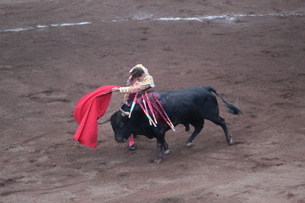Torero Ginés Marín